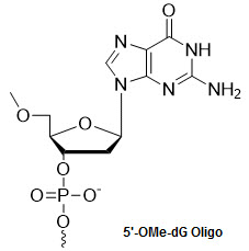 Bio-Synthesis Inc. Oligo Structure